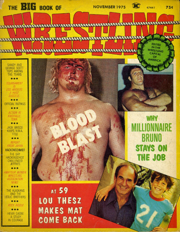 The Big book of wrestling November 1975 Magazine PWcatalog
