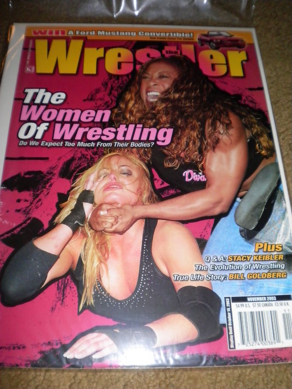The Wrestler November 2003 Magazine PWcatalog