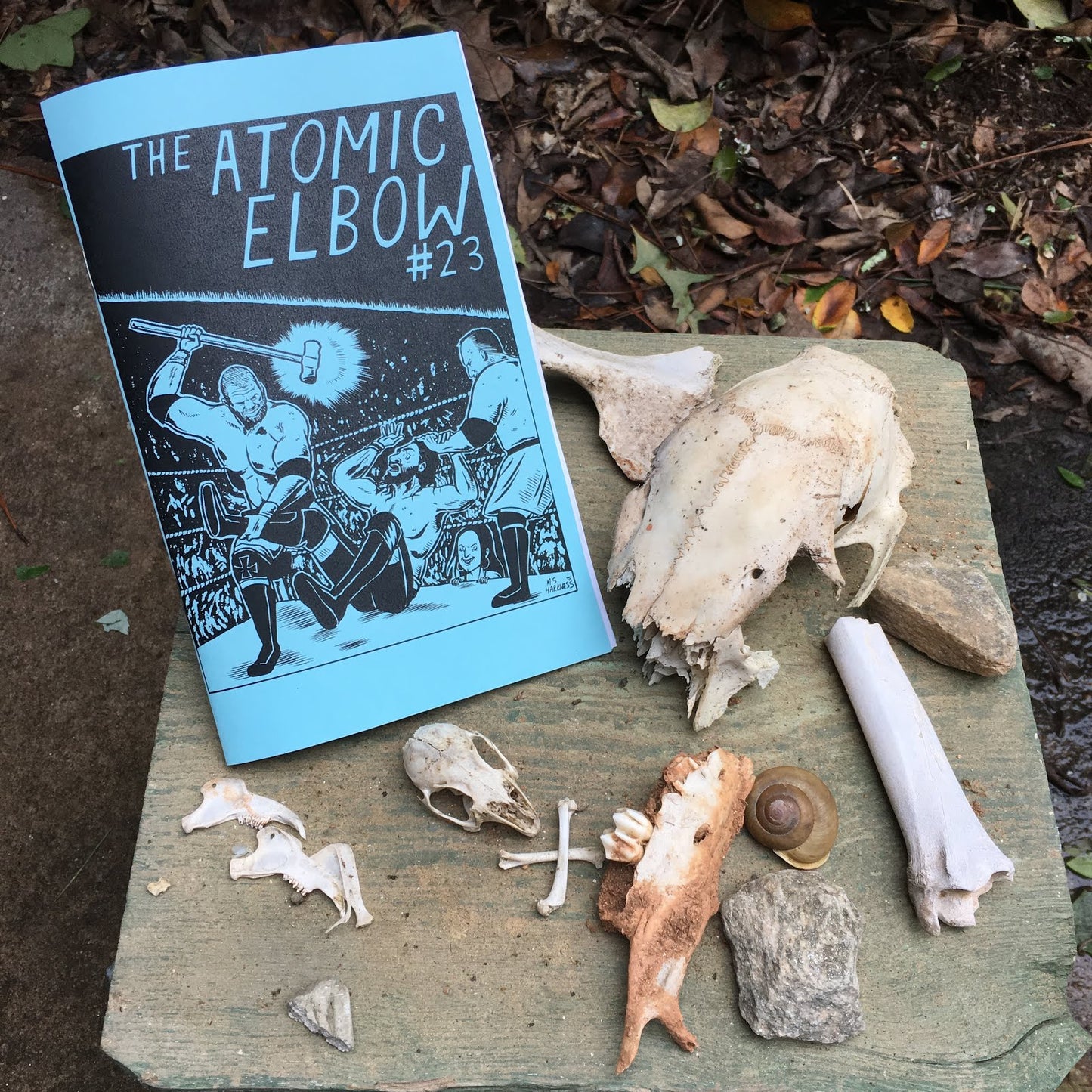 The Atomic Elbow 23 Magazine PWcatalog