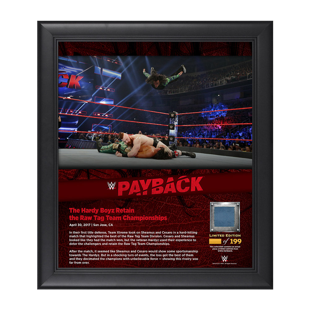 The Hardy Boyz Payback 2017 15 x 17 Framed Plaque w Ring Canvas Pwcatalog