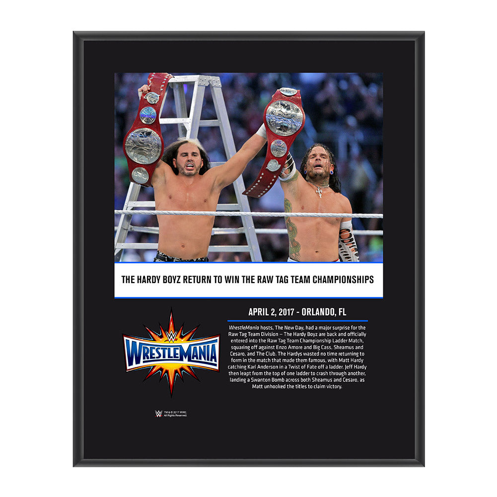 The Hardy Boyz WrestleMania 33 10 X 13 Commemorative Photo Plaque Pwcatalog