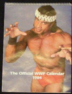 The official WWF 1984 Calendar Magazine PWcatalog