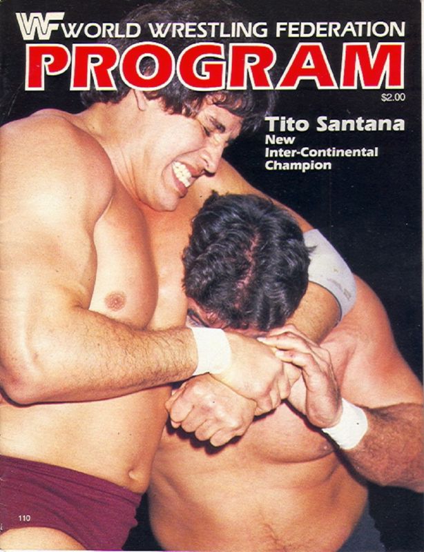WWF Wrestling Program Volume 110 Magazine PWcatalog
