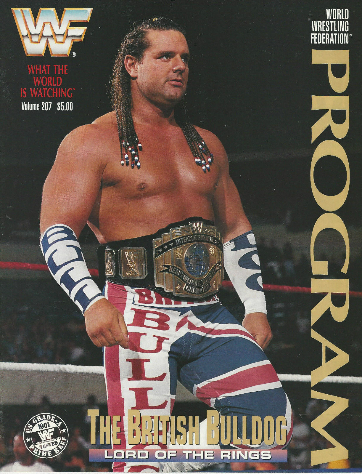 WWF Wrestling Program Volume 207 Magazine PWcatalog