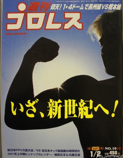 Weekly Pro Wrestling Volume 1010 Magazine PWcatalog