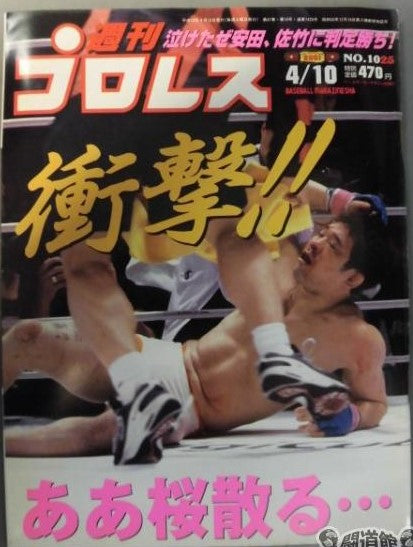 Weekly Pro Wrestling Volume 1025 Magazine PWcatalog