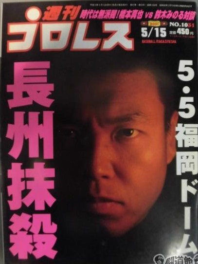 Weekly Pro Wrestling Volume 1031 Magazine PWcatalog
