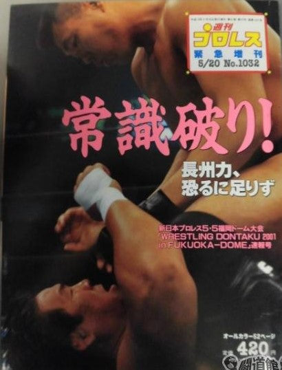 Weekly Pro Wrestling Volume 1032 Magazine PWcatalog