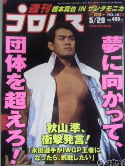 Weekly Pro Wrestling Volume 1034 Magazine PWcatalog