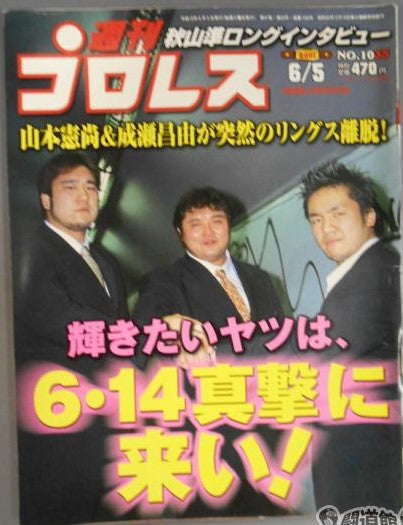 Weekly Pro Wrestling Volume 1035 Magazine PWcatalog