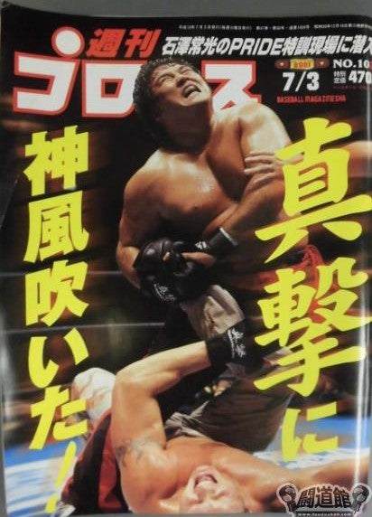 Weekly Pro Wrestling Volume 1039 Magazine PWcatalog