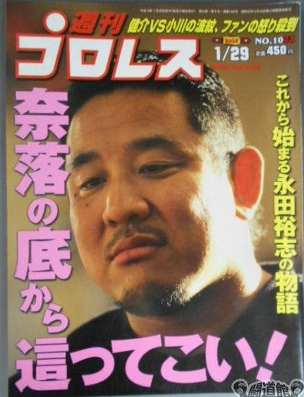 Weekly Pro Wrestling Volume 1073 Magazine PWcatalog
