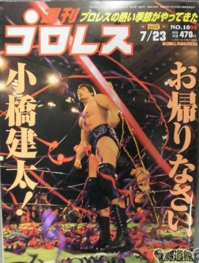 Weekly Pro Wrestling Volume 1099 Magazine PWcatalog
