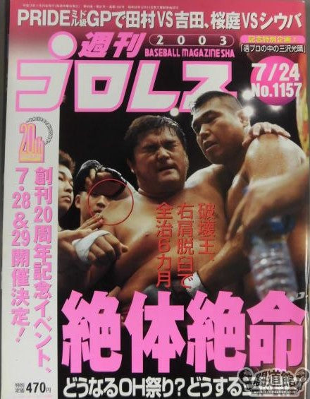Weekly Pro Wrestling Volume 1157 Magazine PWcatalog