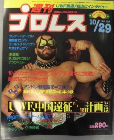 Weekly Pro Wrestling Volume 116 Magazine PWcatalog