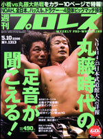 Weekly Pro Wrestling Volume 1313 Magazine PWcatalog