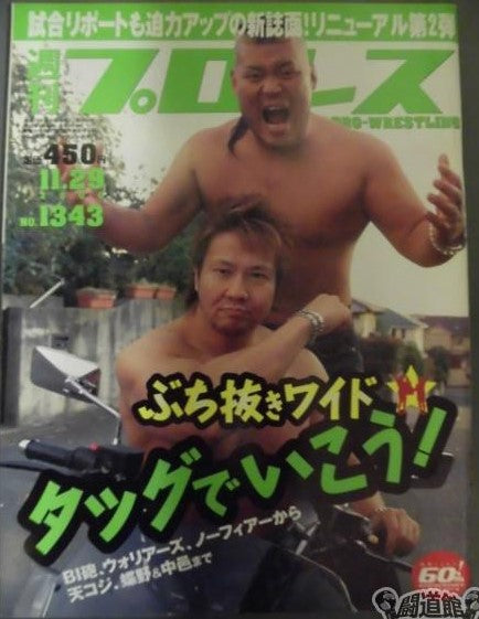 Weekly Pro Wrestling Volume 1343 Magazine PWcatalog