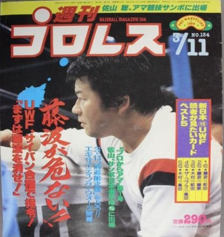 Weekly Pro Wrestling Volume 134 Magazine PWcatalog