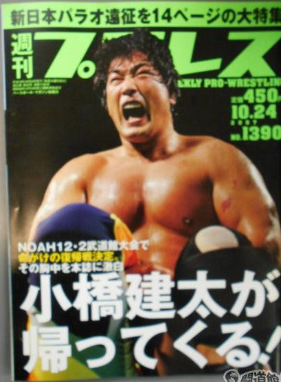 Weekly Pro Wrestling Volume 1390 Magazine PWcatalog