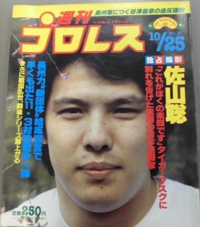 Weekly Pro Wrestling Volume 13 Magazine PWcatalog