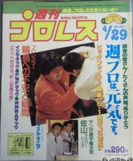 Weekly Pro Wrestling Volume 141 Magazine PWcatalog