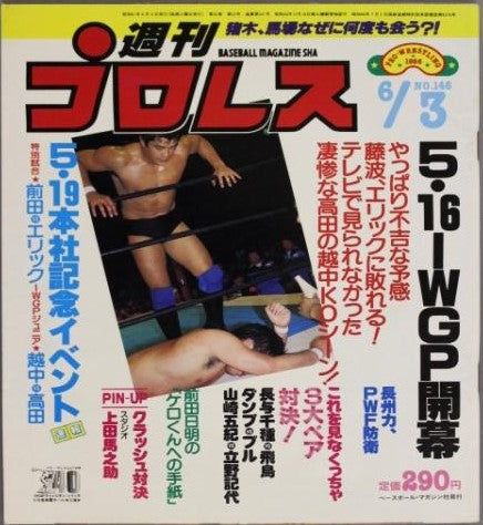 Weekly Pro Wrestling Volume 146 Magazine PWcatalog