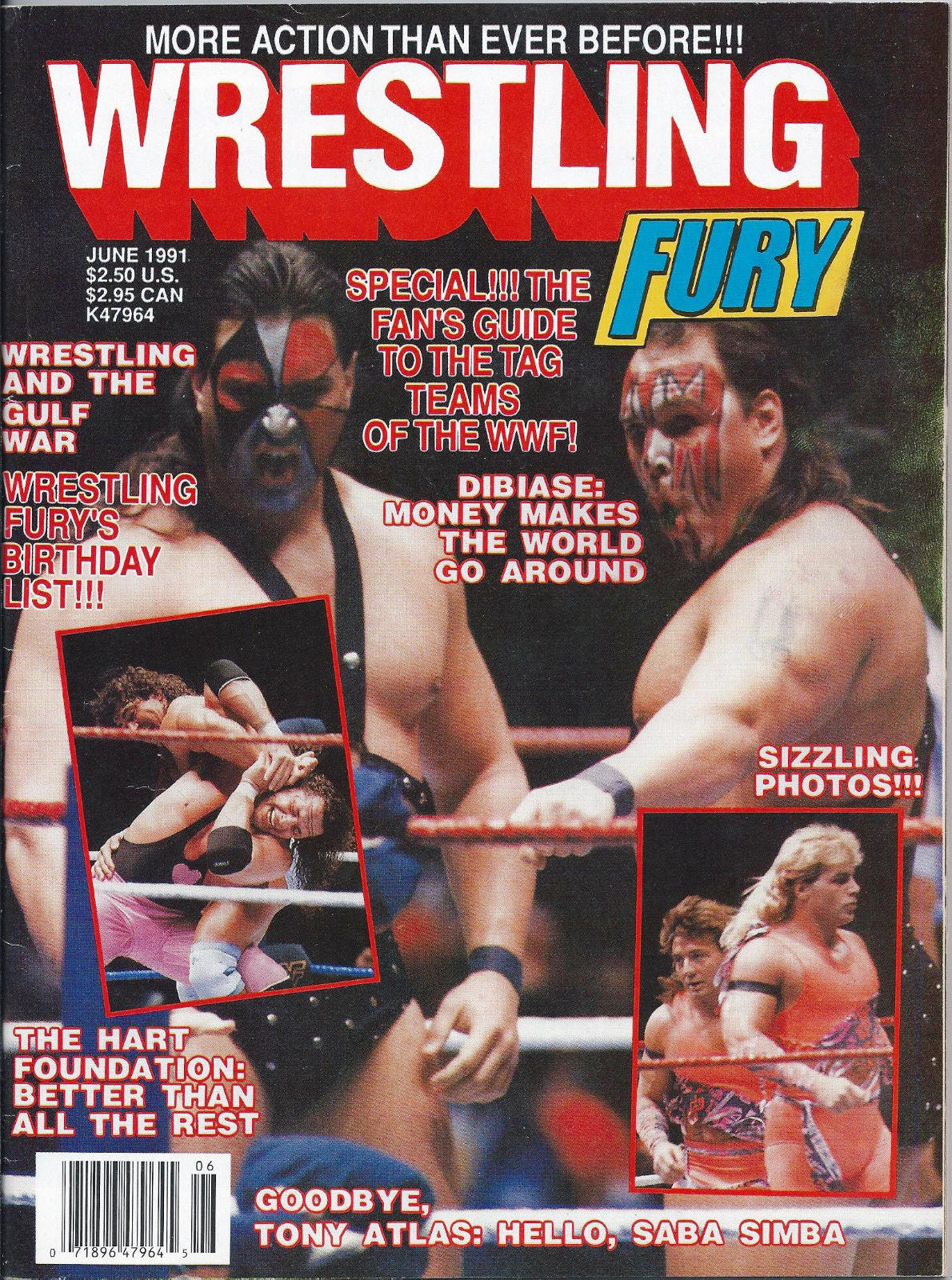 Wrestling Fury June 1991 Magazine PWcatalog