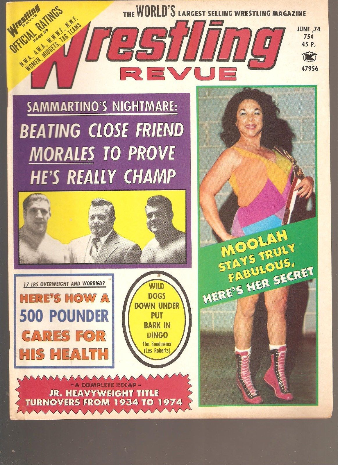 Wrestling Revue June 1974 Magazine PWcatalog