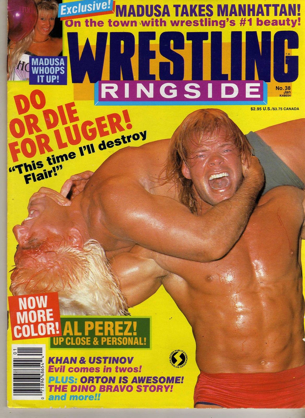 Wrestling Ringside January 1989 Magazine PWcatalog