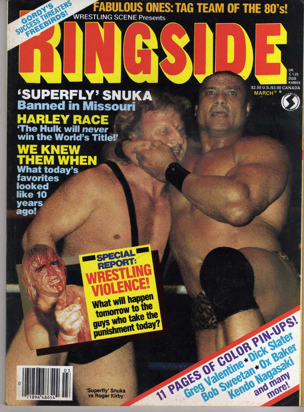 Wrestling Ringside March 1984 Magazine PWcatalog