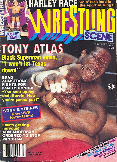 Wrestling Scene June 1987 Magazine PWcatalog