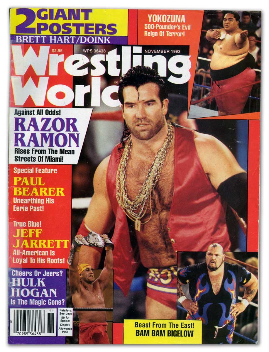Wrestling World November 1993 Magazine PWcatalog