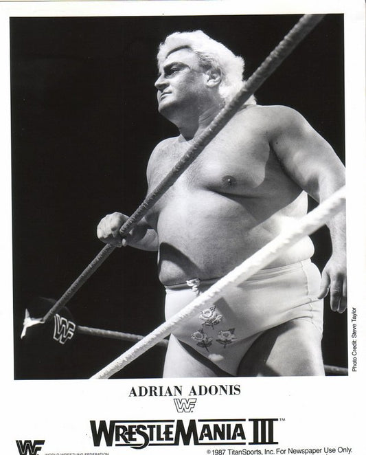 1987 Adrian Adonis WM3 PWcatalog
