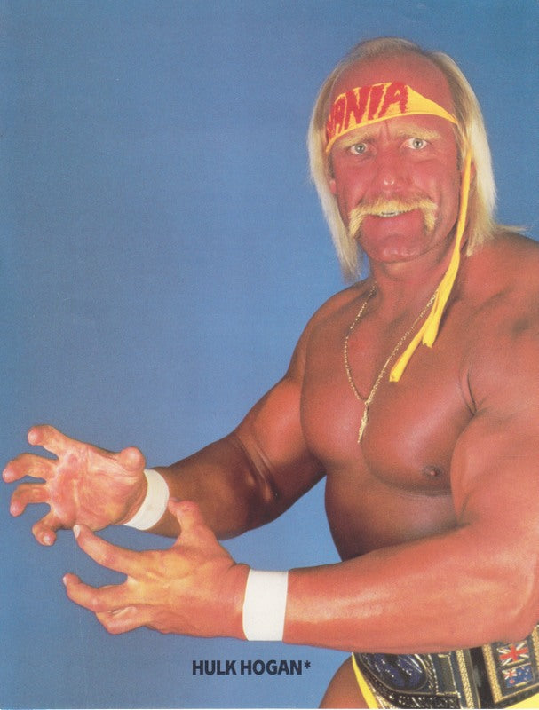 1987 WWF/Borden Hulk Hogan 8.5x11 promo photo color PW Catalog