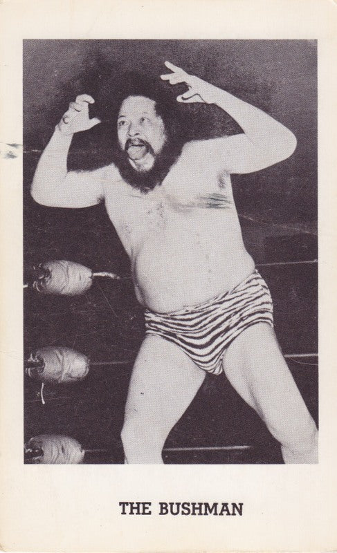 The Bushman Boyd Pierce 3.5x5" Promo Photo PWcatalog