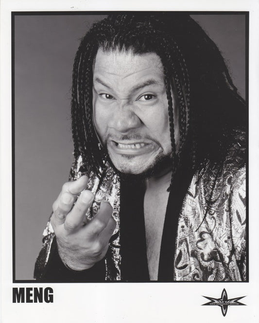 WCW Meng licensed PW Catalog