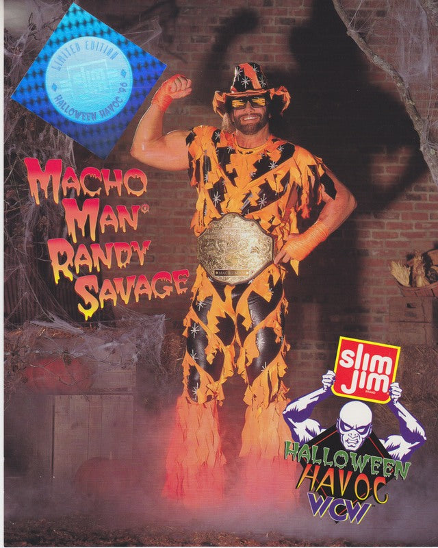 1996 Slim Jim Macho Man Randy Savage color PW Catalog