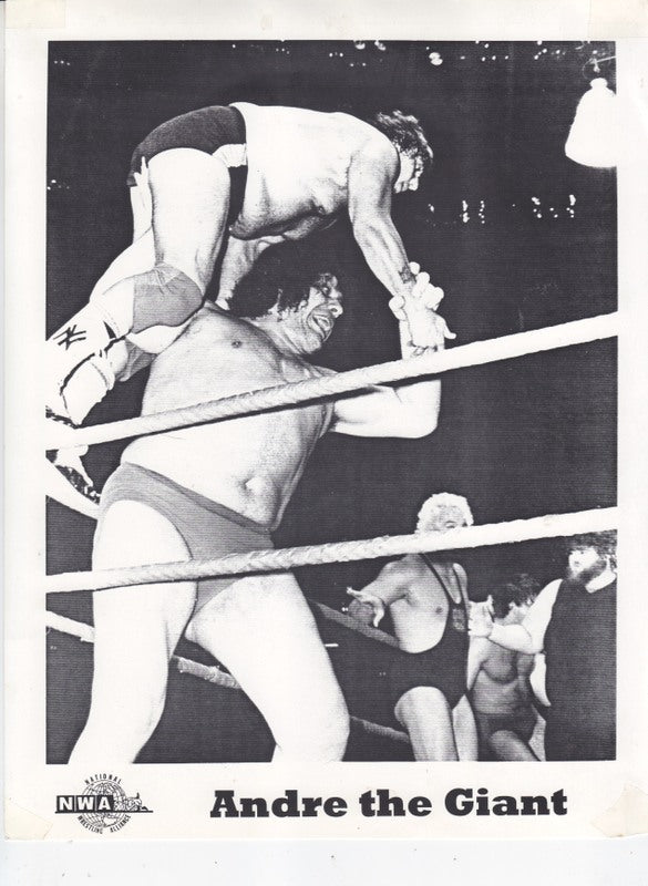 1980's NWA Andre The Giant Promo Photo PWcatalog