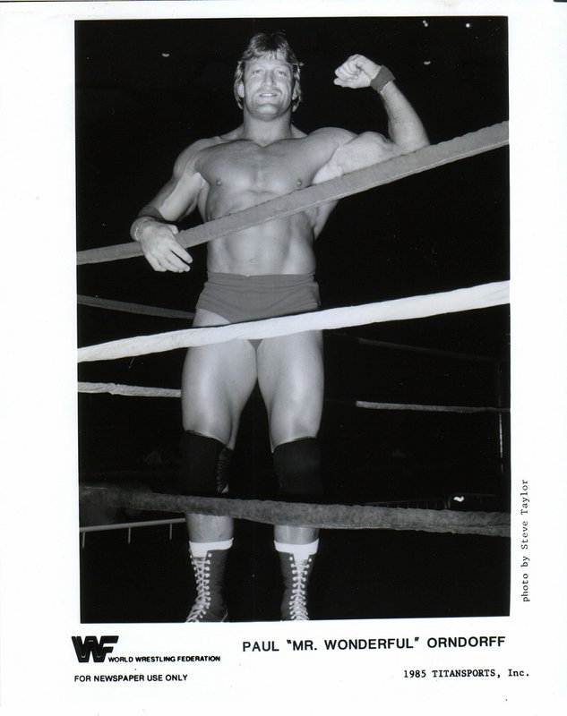 1985 Mr. Wonderful Paul Orndorff PWcatalog