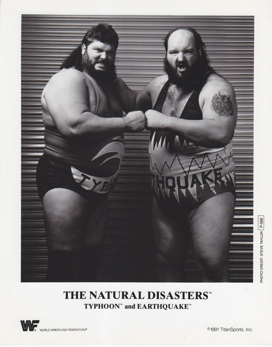 1991 Natural Disasters P056 b/w