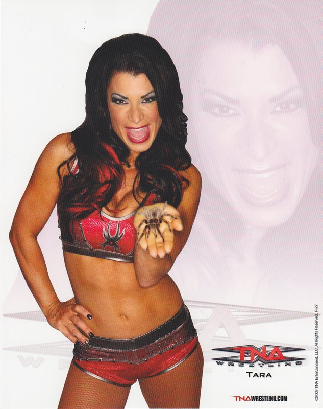 2009 TNA Tara P-27a PW Catalog