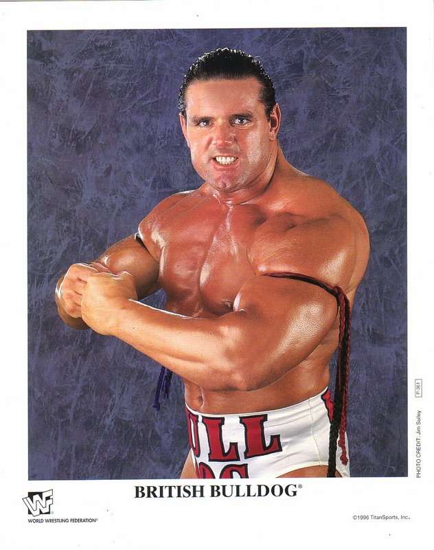 1996 British Bulldog P361 color PW Catalog