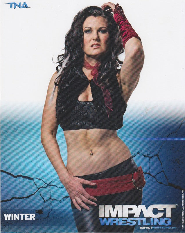 2011 IMPACT Winter P-60 PW Catalog