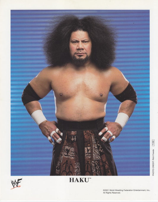 2002 Haku P698 color PW Catalog