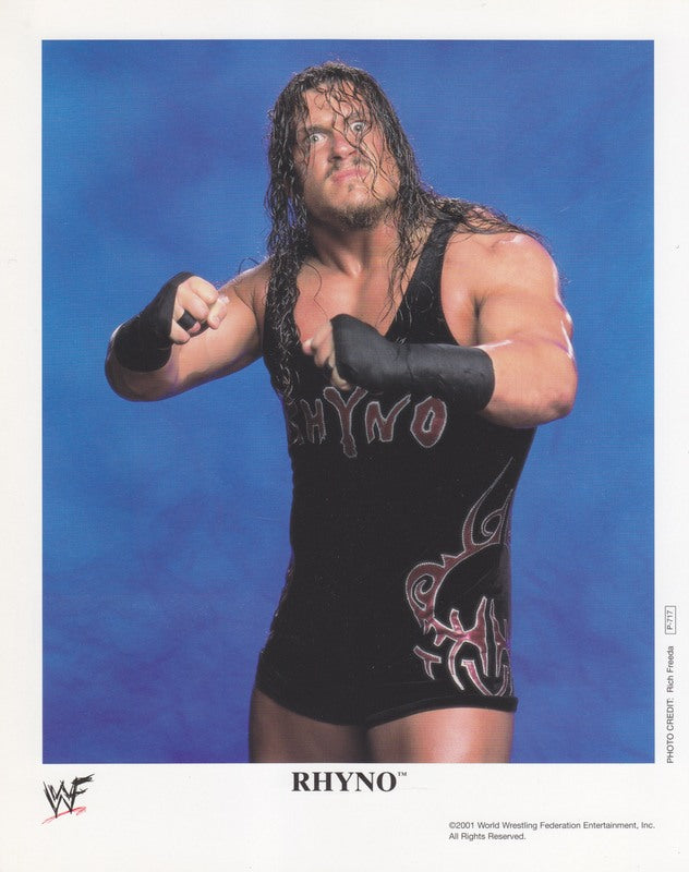 2001 Rhyno P717 color PW Catalog