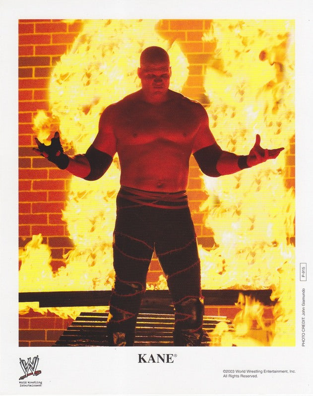 2003 Kane P915 color PW Catalog