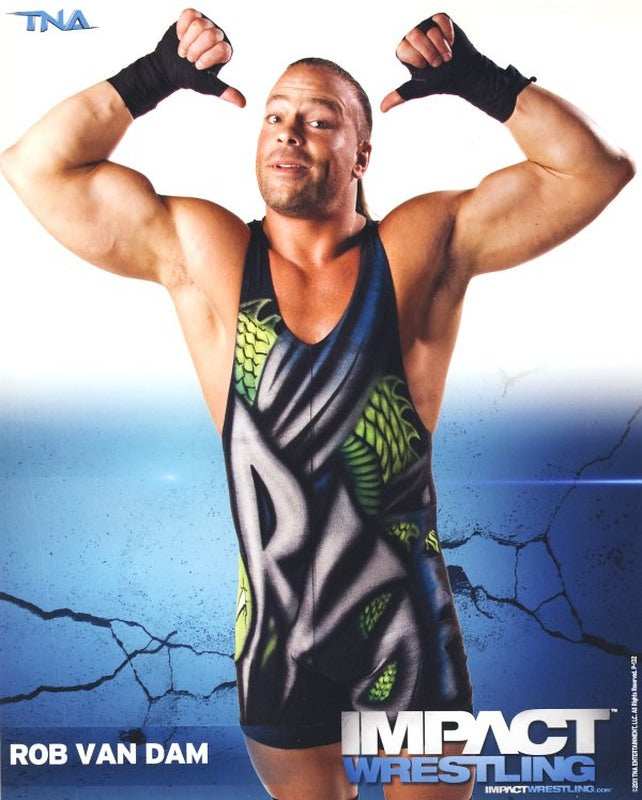 2011 IMPACT Rob Van Dam P-132 PW Catalog