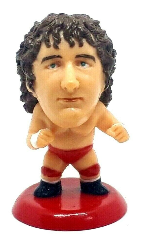 CharaPro Mini Big Heads/Pro-Kaku Heroes 7 Terry Funk Action & Toy Figures PWcatalog