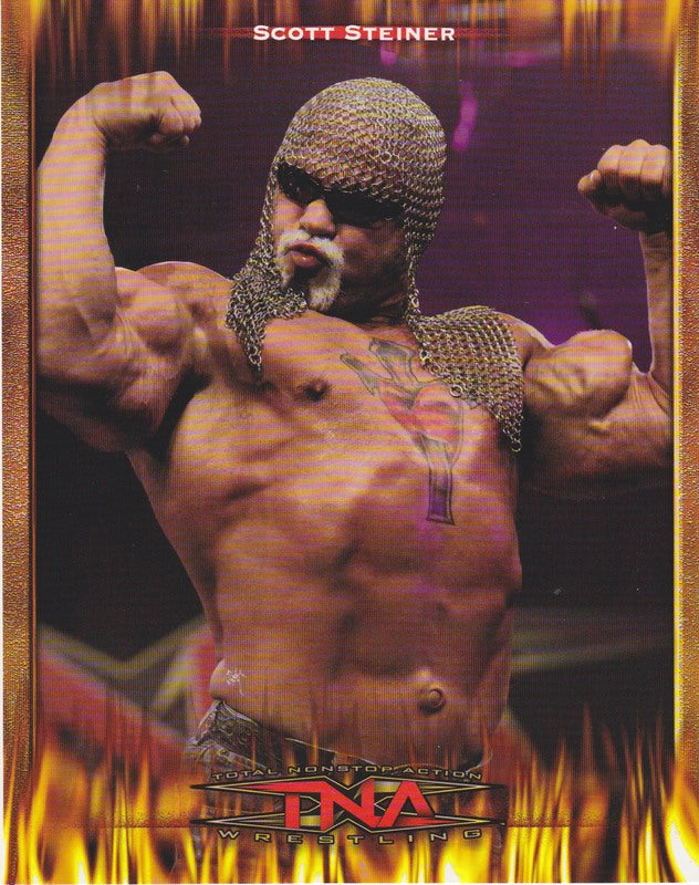 2006 TNA Scott Steiner PW Catalog