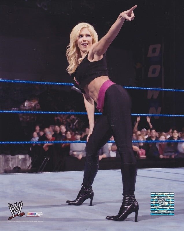 2004 Torrie Wilson Licensed Photofile color PW Catalog